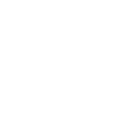 Pet bathing icon