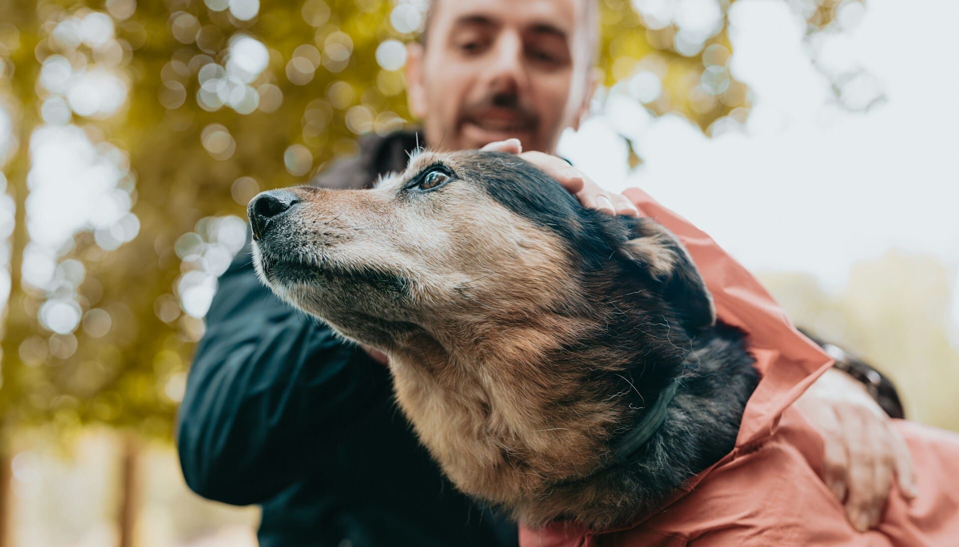Man lovingly petting dog