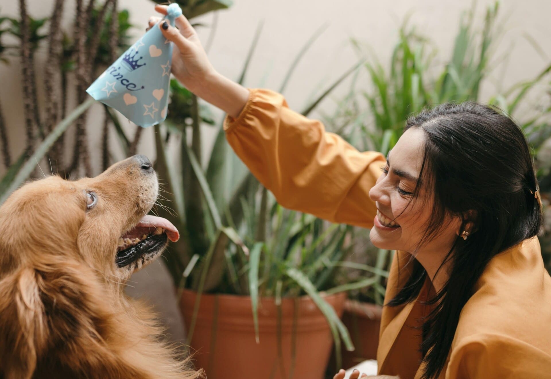 Woman playing with dog