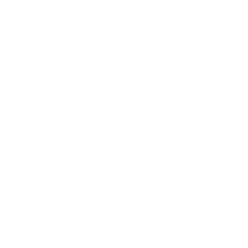 time timer icon