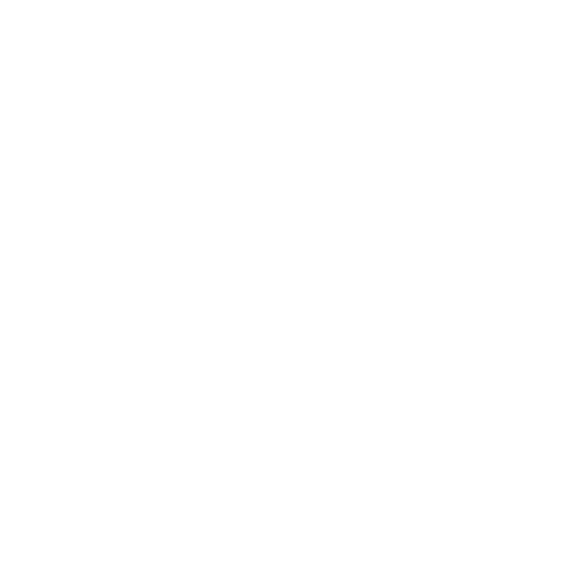 experience expert expertise icon
